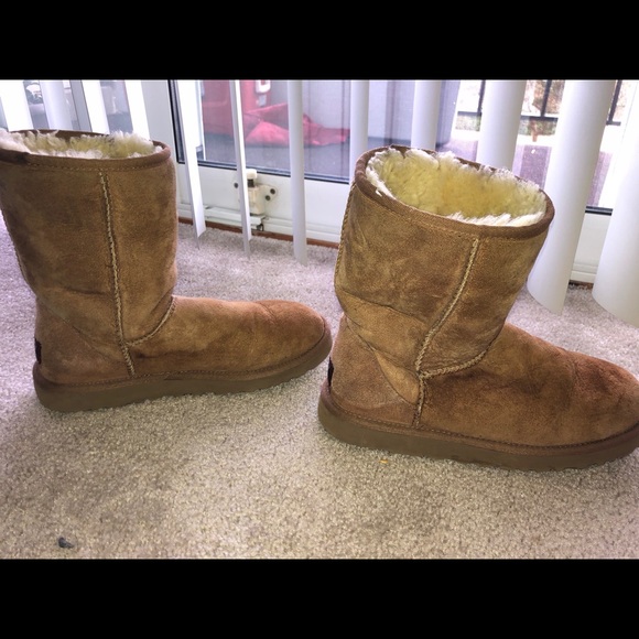 ✨ Need Gone ✨ Authentic Chestnut Uggs - Picture 3 of 5